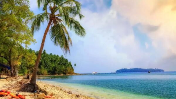 Havelock Island | Upto 8 Persons